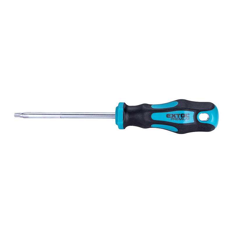 Extol Premium 8819247 - Skrutkovač TORX, magnetický, T25x100mm