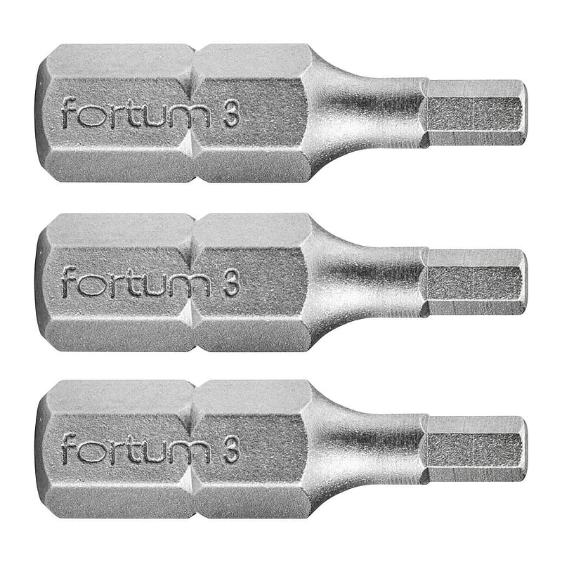 Fortum 4741504 - Bit imbus 3ks, H 3x25mm